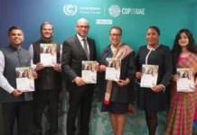 COP28: Report recommends young people get a fair share of climate finance