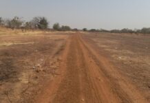 Chiefs, Residents Descend on Government at Forest Rally for Playing Musical Chairs with Bolgatanga Airport Project