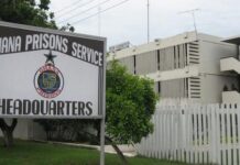 Use Prison Enterprise to Bridge the Gap in Infrastructural Development