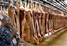 Council of State Elections: Victorious paramount chief of Chiana promises to resurrect dead factories