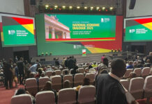 Franklin Cudjoe writes: The Governance Albatross in Public Financial Management- Time to Consider the Stewardship Model?