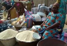 Burkina Faso Grain Export Ban: Ghanaian Agric director allays food shortage fears