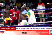 Bedlam in the Ring: Referee Flees, Fans Riot, and Fighters Stand Their Ground as Shi shii shi Fight Night ended in Chaos