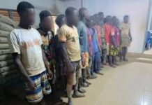 Police Intensify Anti-Galamsey Fight: 208 Suspects Arrested, 99 Excavators Retrieved in Nationwide Operation