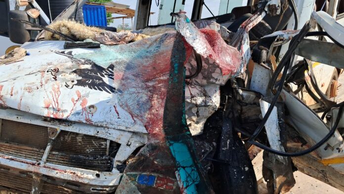 WhatsApp Image 2025-07-15 at 12.11.33