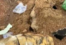 Military Raid in Bawku and Bazua Sparks Destruction and Concern