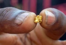 How ‘blood gold’ is fuelling conflict in West Africa