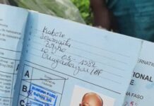 Gunmen Kill International Driver on Trans-ECOWAS Highway in Northeast Region