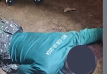 Armed Attack on Immigration Officers at Gbintiri: One Killed, One Injured