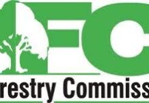 Rejoinder: Re-Two Staff Interdicted Over ȼ623,000 Revenue Raised for Forestry Commission