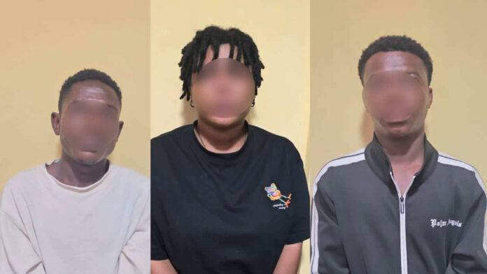 00123.00_16_44_39415.Still095