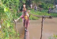 Eastern Region: Collapsed footbridge endangers pupils, farmers in Adibordornya