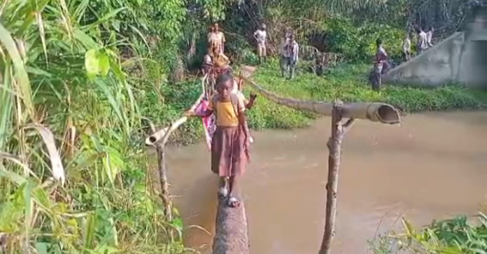 Social-Bridge-Collapse-1-719x375