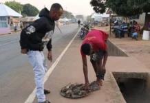 Kpandai: The 21-Year-Old SHS Graduate Selling Fish to Keep His Family Afloat
