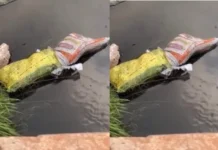 Police Investigate Discovery of Body Wrapped in Sacks at Teshie