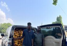 Tema Police Intercept Over 1,600 Parcels of Suspected Narcotic Drugs