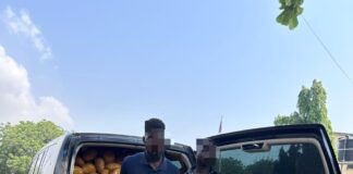 Tema Police Intercept Over 1,600 Parcels of Suspected Narcotic Drugs