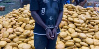 4,000 Parcels Hidden in Steel: Police Bust Drug-Laden Trailer with Secret Compartments at Dambai