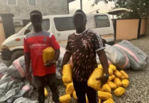 Personnel of the Volta North Regional Police Command rejected 182,000 cedi to arrest two persons transporting narcotic drugs.