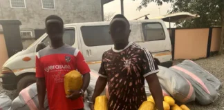 Personnel of the Volta North Regional Police Command rejected 182,000 cedi to arrest two persons transporting narcotic drugs.