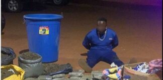 Berekum Drug Den Busted: Police Nab Alleged Kingpin as He Tries to Flee