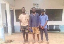 Armed in Plain Sight: Police Nab Three in Wa West Firearms Crackdown