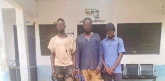 Armed in Plain Sight: Police Nab Three in Wa West Firearms Crackdown