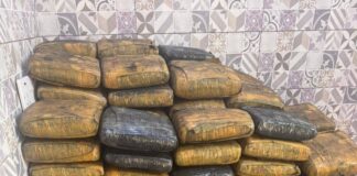 From Crash to Cannabis: 397 Slabs Seized After Tricycle Hits Truck