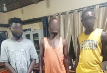 Deadly Mob Justice at Dawn: Liberian Man Lynched after Being Mistaken for a Thief, Three Arrested, One On the Run