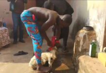 Sex Scandal Shocker: Chief Destooled in Abura Dunkwa Over Alleged Affair with Fetish Priestess and Land Document Controversy