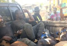 Gunfire Over Goats: Police Officer Shot as Armed Livestock Thieves Storm Assin Community