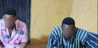 Upper West Police Intensify Anti-Drug Crackdown, Seize Large Quantities of Suspected Narcotics