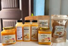 Ghana’s Rising Innovators Shine Globally as UESD Team Wins International Mango Innovation Challenge in Canada