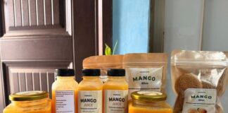 Ghana’s Rising Innovators Shine Globally as UESD Team Wins International Mango Innovation Challenge in Canada