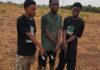 Two Final-Year UDS Students Among Three Nabbed in Armed Robbery Sting in Tamale