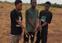 Two Final-Year UDS Students Among Three Nabbed in Armed Robbery Sting in Tamale