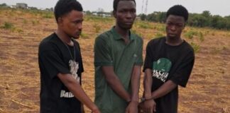Two Final-Year UDS Students Among Three Nabbed in Armed Robbery Sting in Tamale
