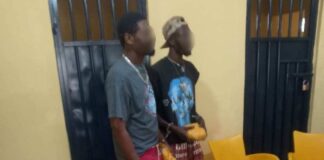 Police Intercept Drug Haul Worth ₵107,000 on Kintampo Highway; Two Suspects Arrested