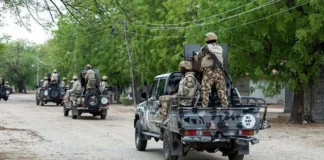 Senior IS leader killed in joint operation, US and Nigeria say