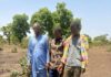 Robbery Crackdown: Police Arrested Four in Bolgatanga, AK47, Ammunition Recovered