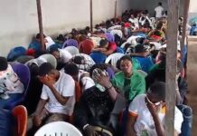 Sold Dreams, Stolen Lives: Inside the Ivorian Camps Where Over 450 Ghanaians are Trapped in Trafficking Nightmare
