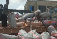 Eastern Region Police Seize 1,600 of Suspected Indian Hemp, Foil ¢100,000 Bribery Attempt