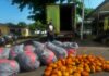 Police Arrest Truck Driver with Suspected Narcotic Drugs on Tema–Ada Highway