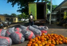 Police Arrest Truck Driver with Suspected Narcotic Drugs on Tema–Ada Highway
