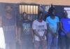 Six Arrested as Tema Police Dismantle Two Armed Robbery Gangs, Recover Stolen Rice and Fertilisers