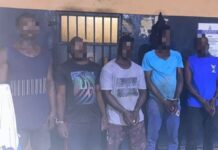 Six Arrested as Tema Police Dismantle Two Armed Robbery Gangs, Recover Stolen Rice and Fertilisers