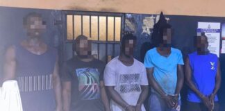Six Arrested as Tema Police Dismantle Two Armed Robbery Gangs, Recover Stolen Rice and Fertilisers