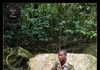 Forestry Commission Condemns Killing of Ranger During Anti-Poaching Patrol at Kakum
