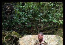 Forestry Commission Condemns Killing of Ranger During Anti-Poaching Patrol at Kakum