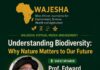 Why does biodiversity matter to our future?